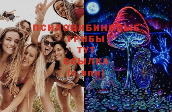 стафф Волоколамск