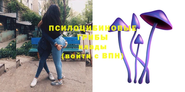 ешки Волосово