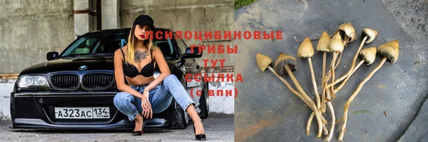 герыч Володарск