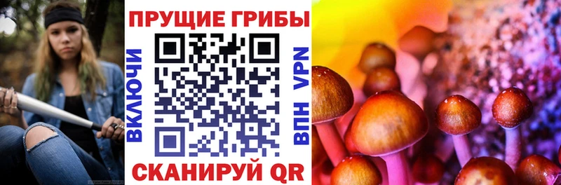 Купить где Истра Псилоцибиновые грибы ЛСД